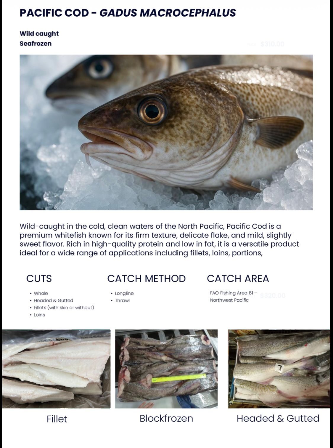 Pacific Cod Datenblatt